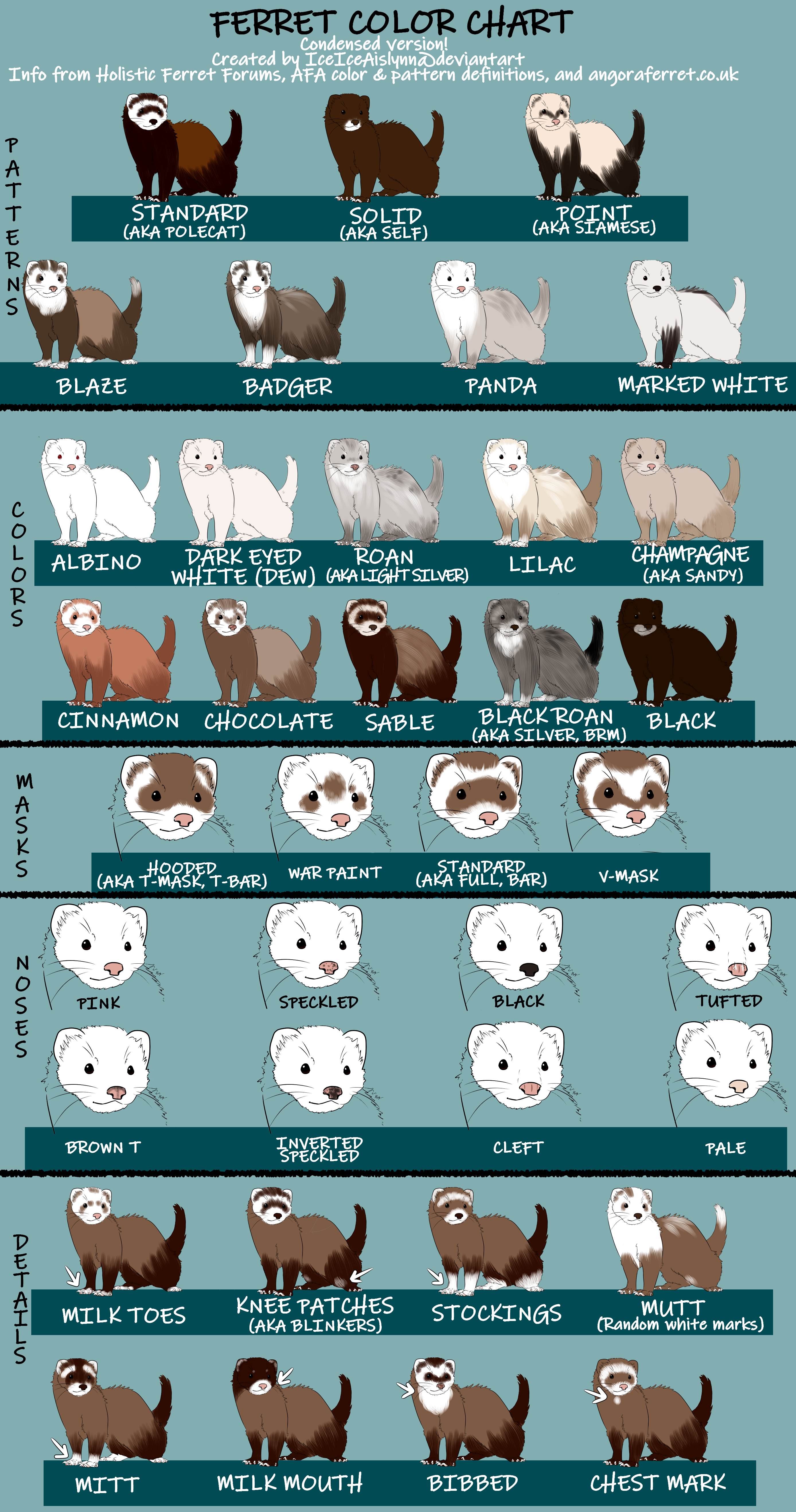 Ferret colour chart by IceIceAislynn